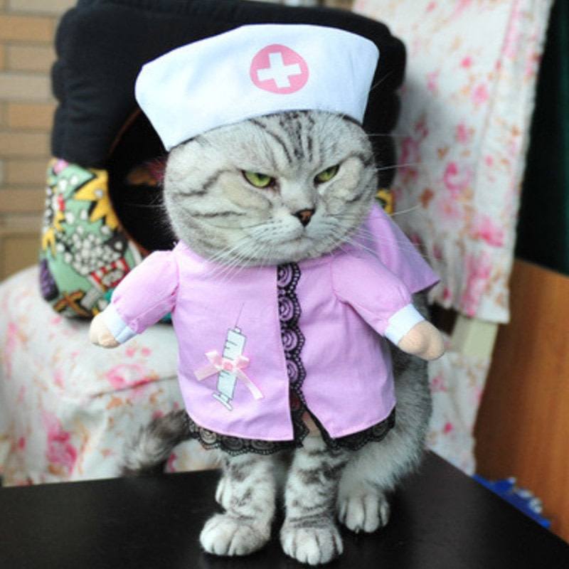 cute cat clothes