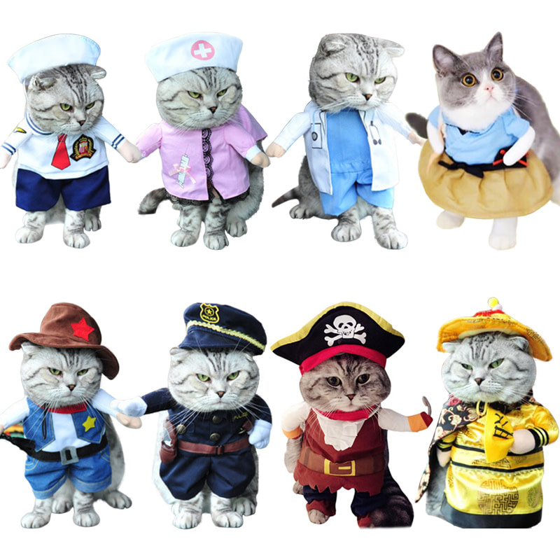 cat clothes